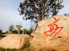 ��ȫ���й���ͬ��