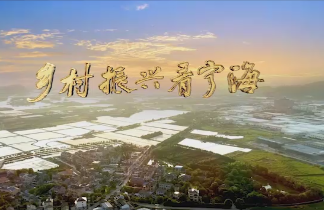 ��Ƭ�����궼����һ�飡������˿�����