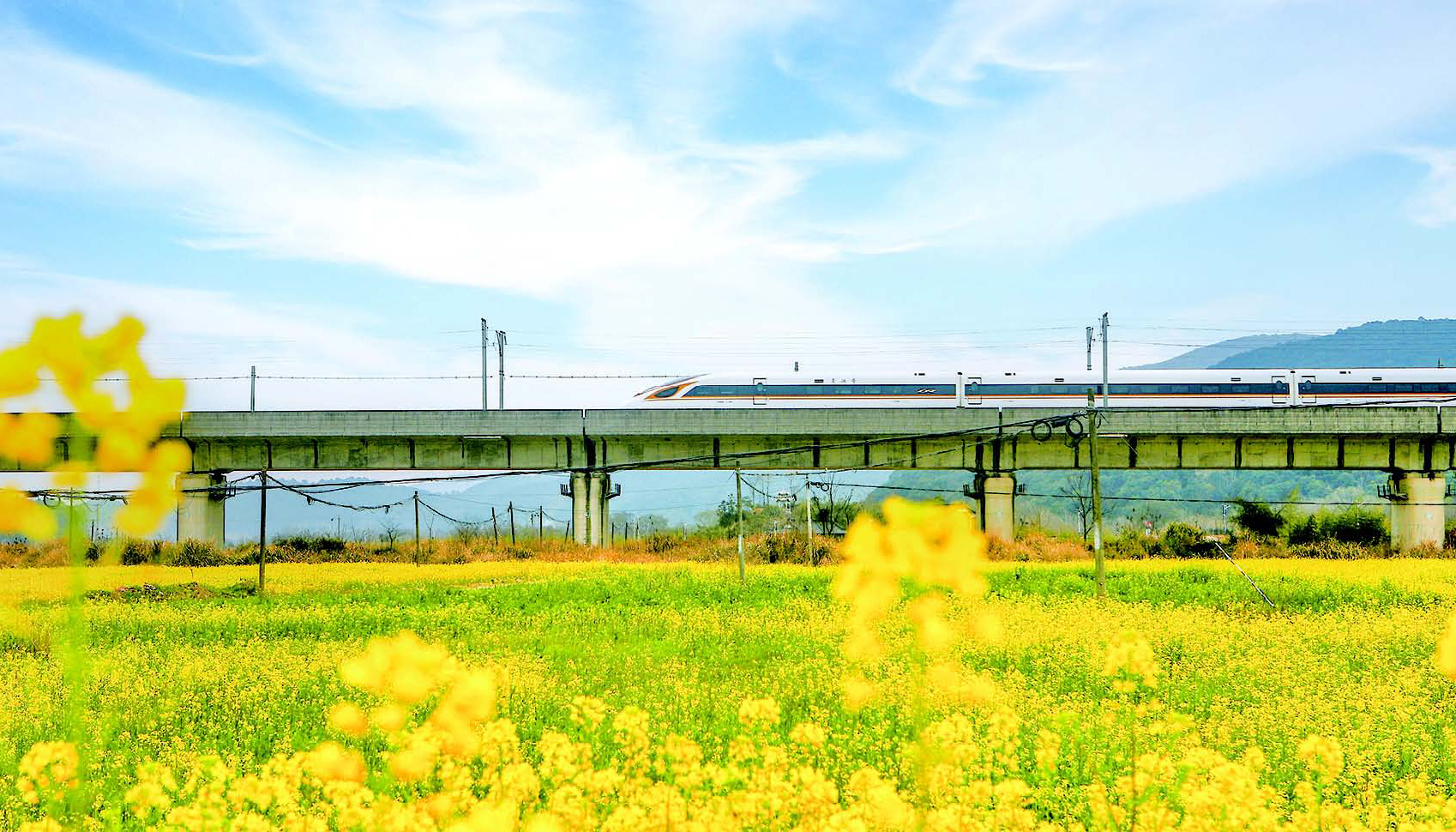 ����ϣ������