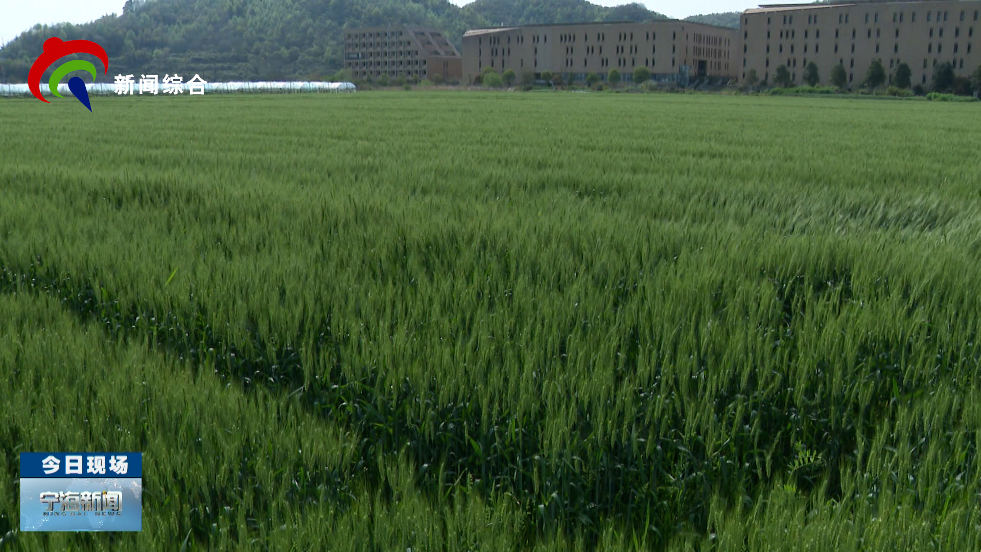 2026��4��10�գ������壩��������