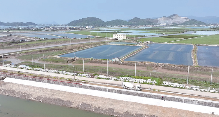 ���ֺ��������𡰺��ϳ��ǡ�