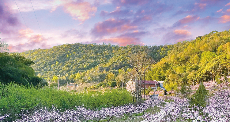 ǰͯ���ӵ�ɽ�֡��ҡ����